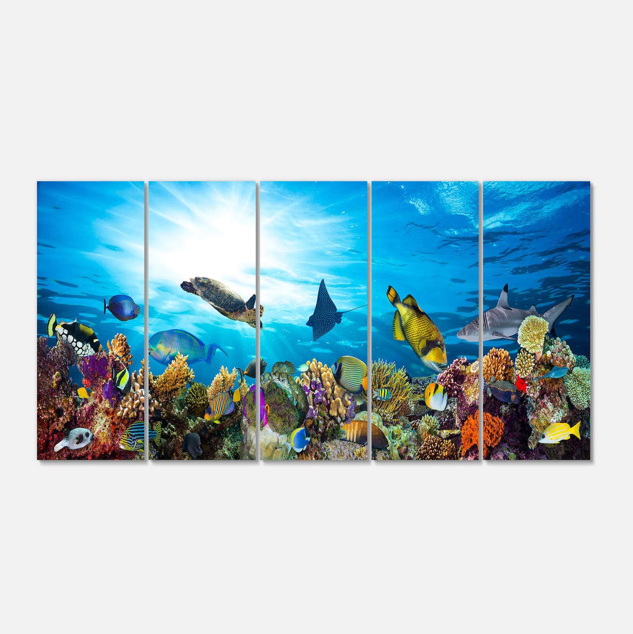 Designart - Colorful Coral Reef with Fishes - Seascape Canvas Art Print